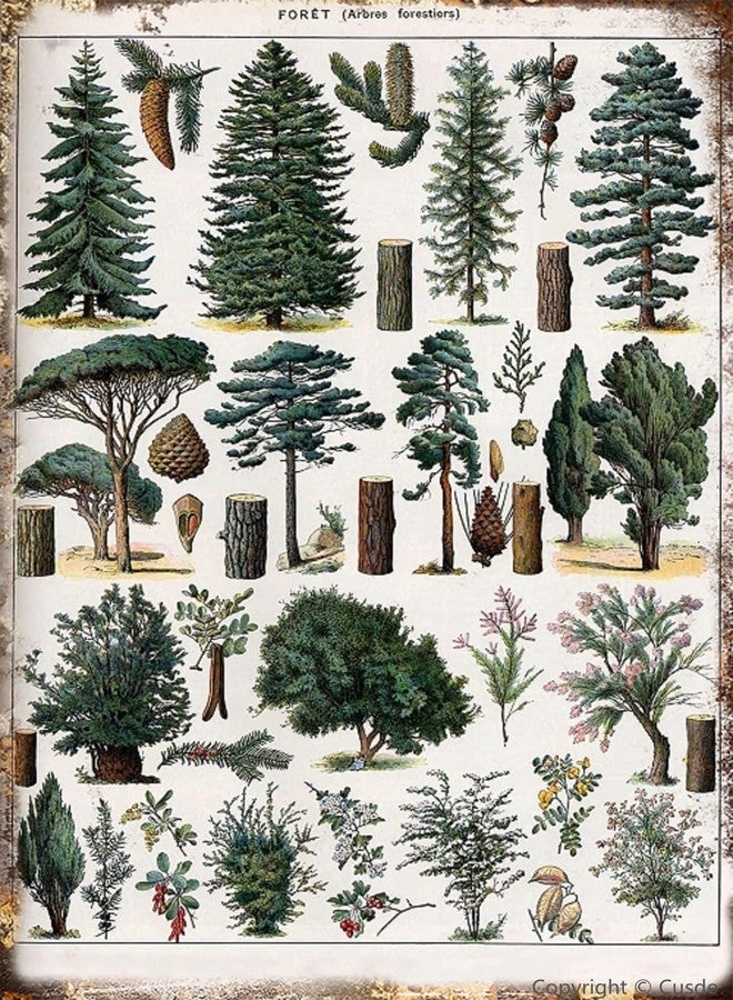 Cusde Forest Metal Tin Sign Forest Wall Art Pine Tree Nature Forest Decor Outdoor Indoor Wall Panel Retro Vintage Home Decoration 8x12 Inch - Image 1